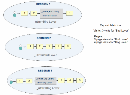 Custom Visitor Segments